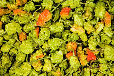 《去月球》作者发布更新 新作《影子工厂》九月初发售